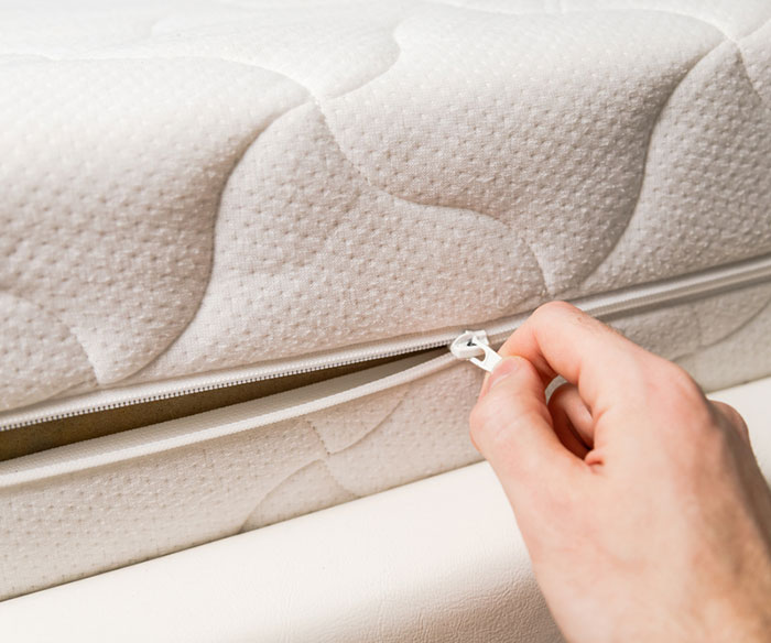 Mattress Encasements for Bed Bugs