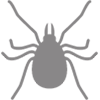 TICK-AND-MITES