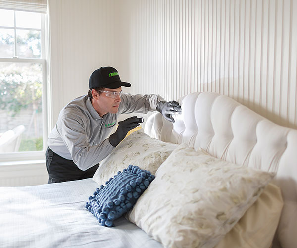 Get Rid of Bed Bugs with Terminix®