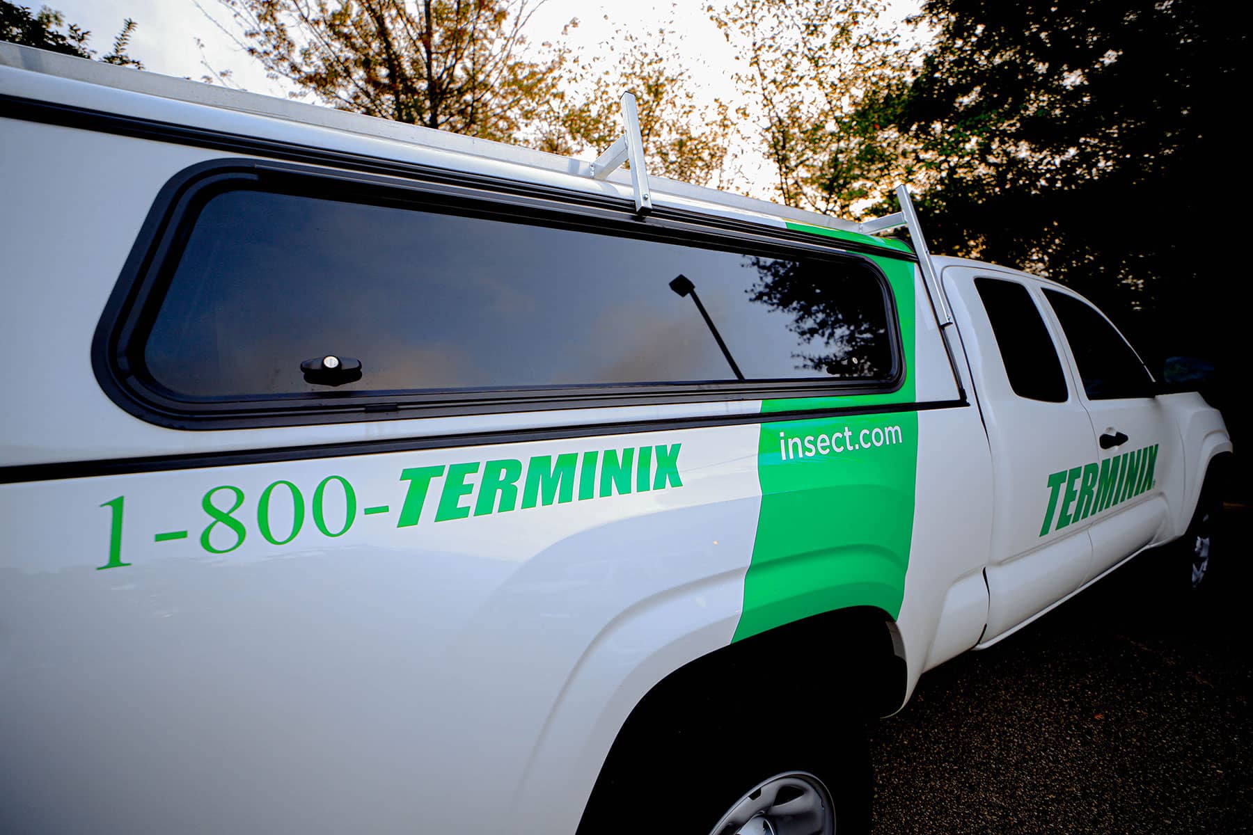 Blog terminix