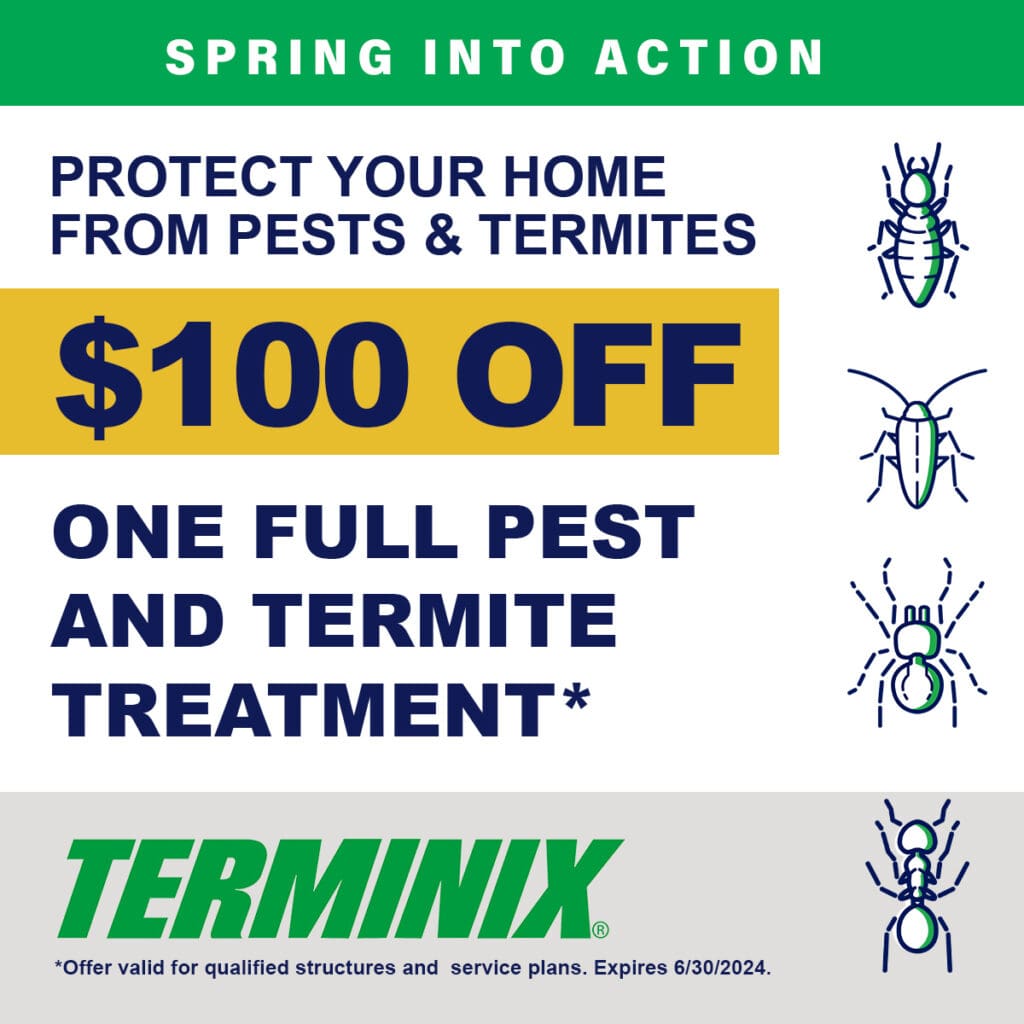 Monthly Promo Offer