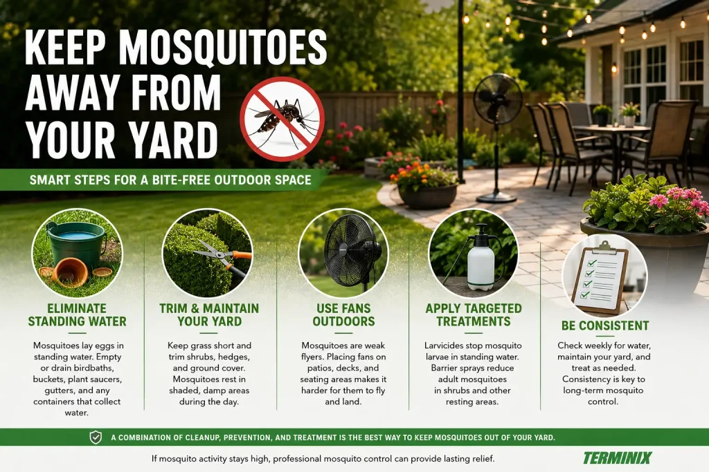 how to get rid of mosquitoes in backyard