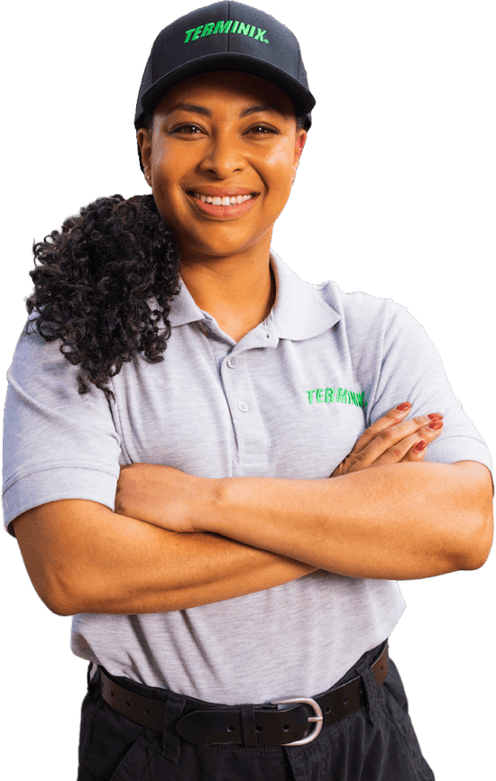 terminix pest control